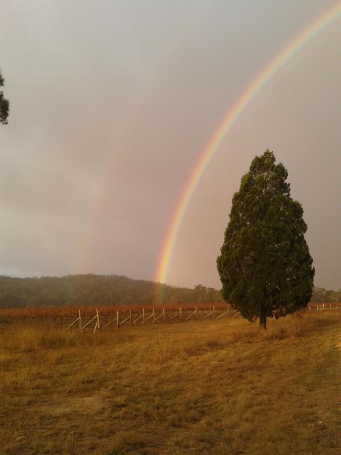 Whiskey Gully Wines Villa Stanthorpe Exterior photo